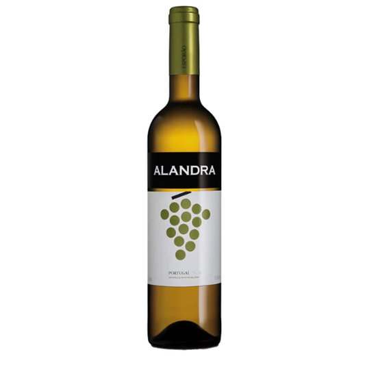 Alandra Branco 2024