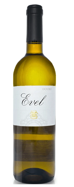 Evel Branco 2024